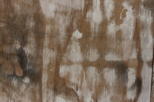 Foto d'estoc gratuïta de abstracte, fons de la textura, fusta