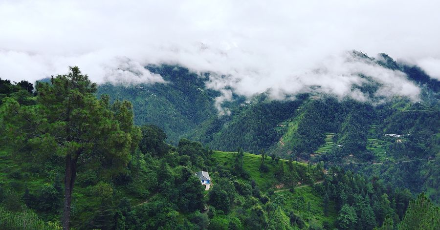 Dalhousie photo 4