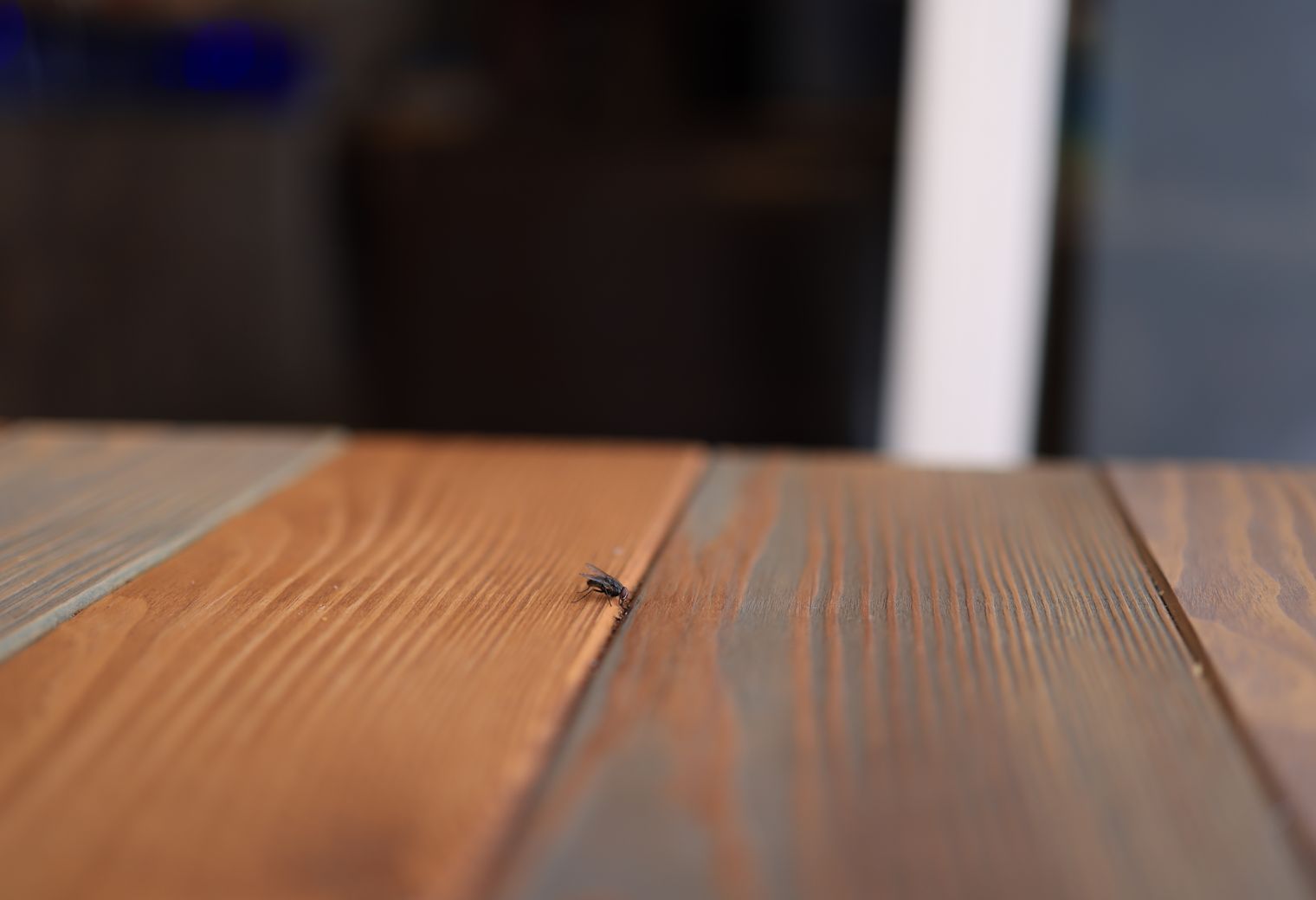 Fence and Decking Painting in Stamford Hill — surfaces prepped and cut in by hand