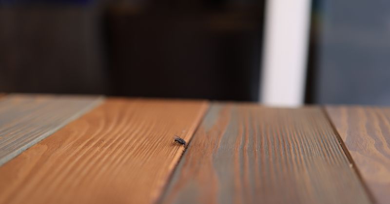 Plancher Bois : Prix et Conseils Installation