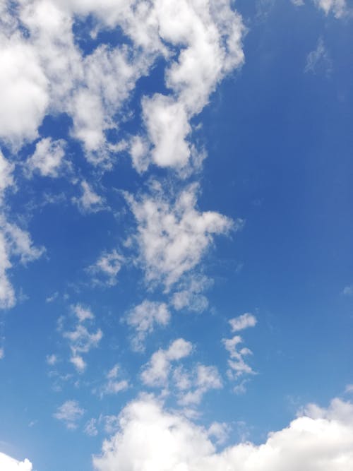 Základová fotografie zdarma na téma atmosféra, bílé mraky, modrá