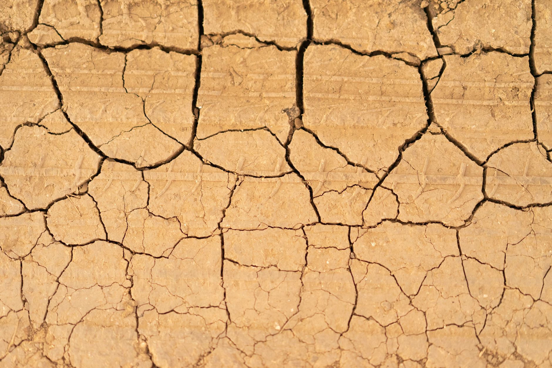 Datça ve Kars'ta Peş Peşe Depremler: AFAD'dan Son Dakika Açıklaması