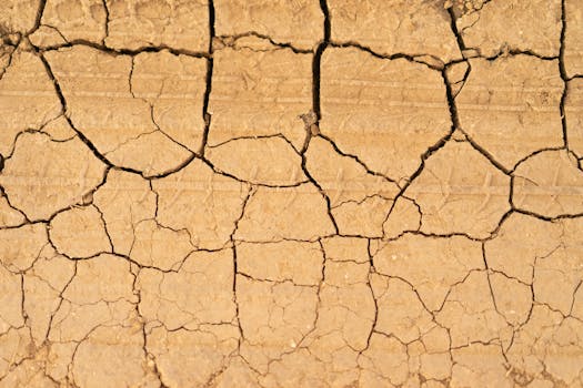 Image shows Indore's extreme weather: scorching heat followed by unexpected rainfall.  MP weather, heatwave, rain.