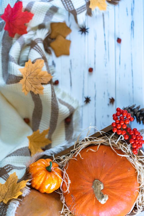 Free Perfect fall setting with pumpkins, leaves, and cozy blanket featuring warm colors and seasonal decor. Stock Photo