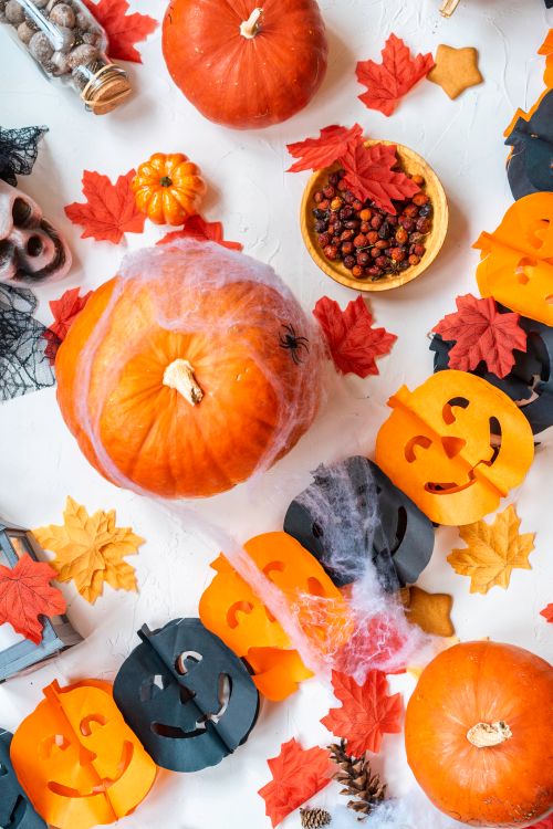 Free Top view of Halloween decorations featuring pumpkins, leaves, and ornaments on a white surface. Stock Photo