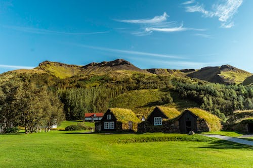Green Landscape with Mountains and Moss on Houses