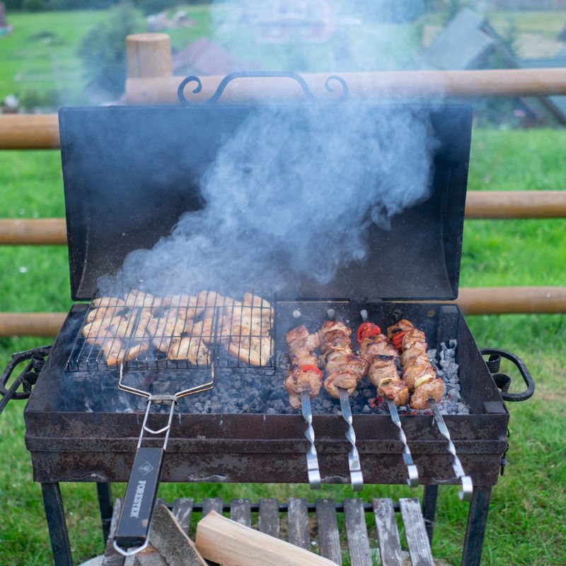 Grilled Chicken Shish Kebabs