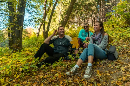 Immagine gratuita di alberi verdi, ambiente, amici