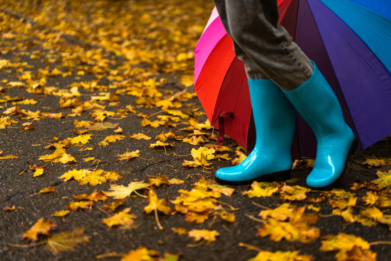 blue rain boots with a colorful umbrella on wet pavement