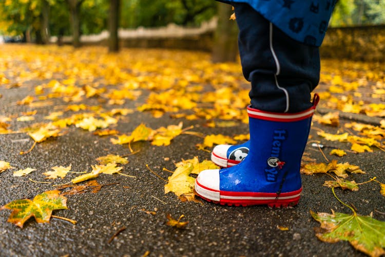 Kid Legs Wearing Gumboots In Autumn Park