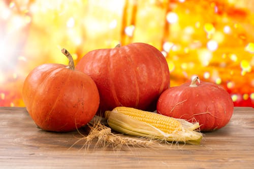Close-up of Pumpkins 