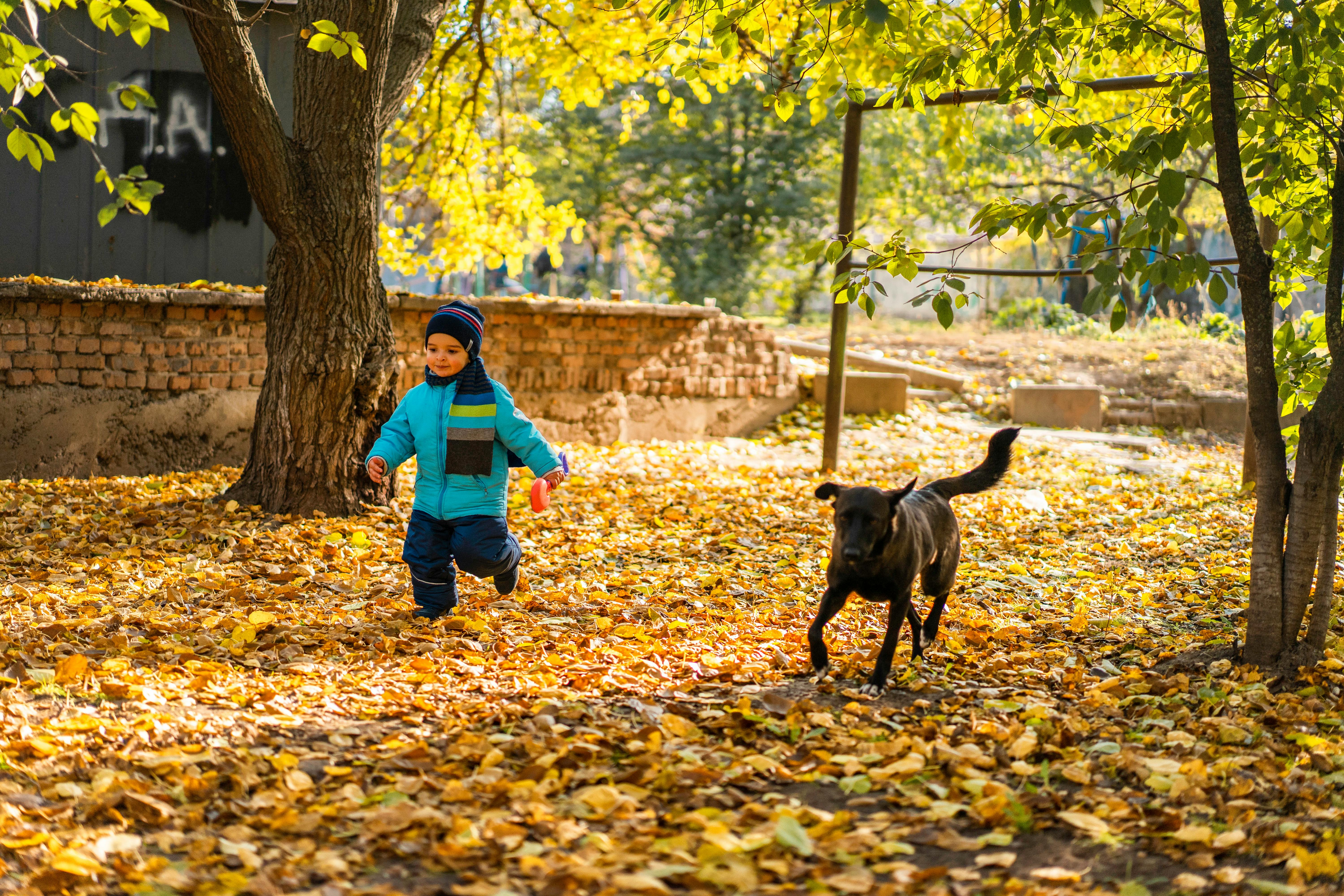children and a dog playing safely in a clean yard - what do pet waste removal companies do with the waste