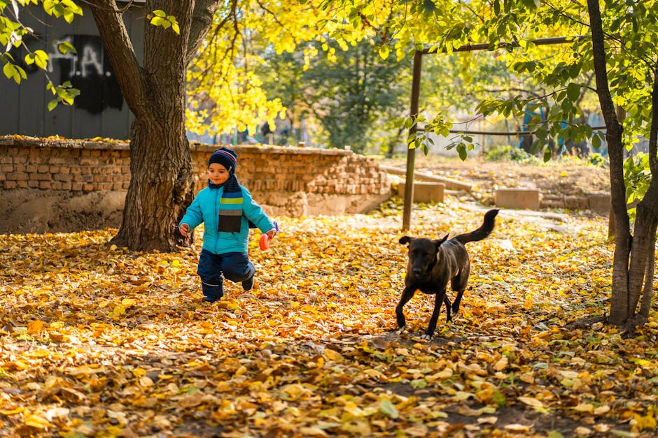 children and a dog playing safely in a clean yard - what do pet waste removal companies do with the waste children and a dog playing safely in a clean yard - what do pet waste removal companies do with the waste