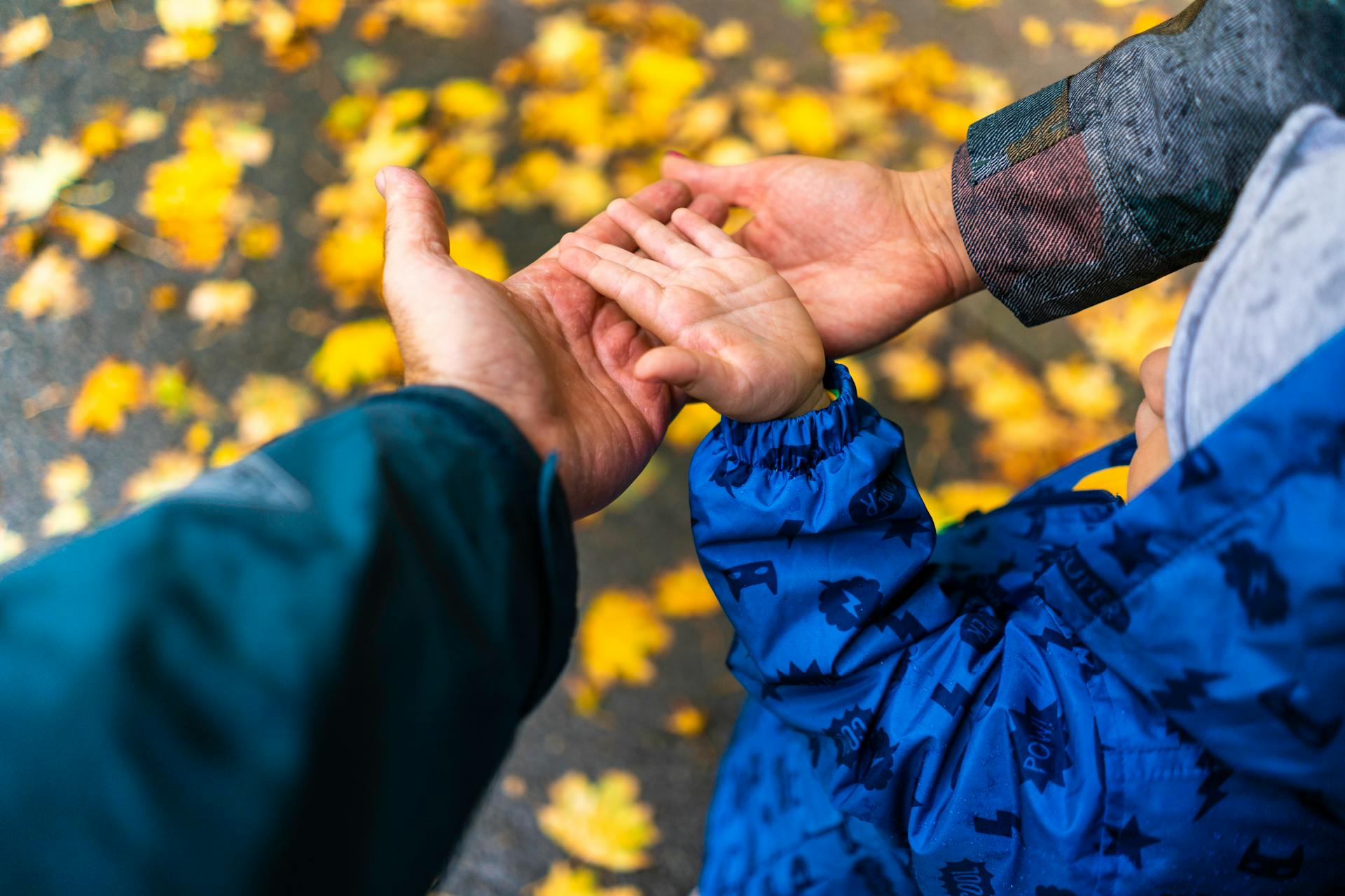 Top view of adults and child hand in autumn park, symbolizing family bond.