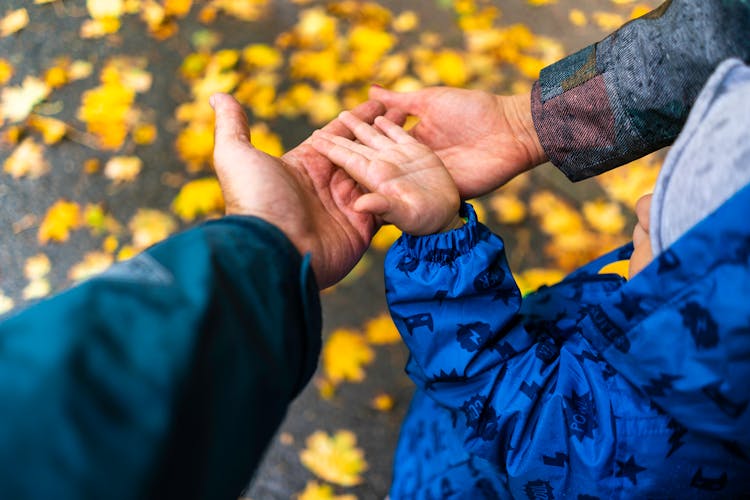 Family Holding Hands Together