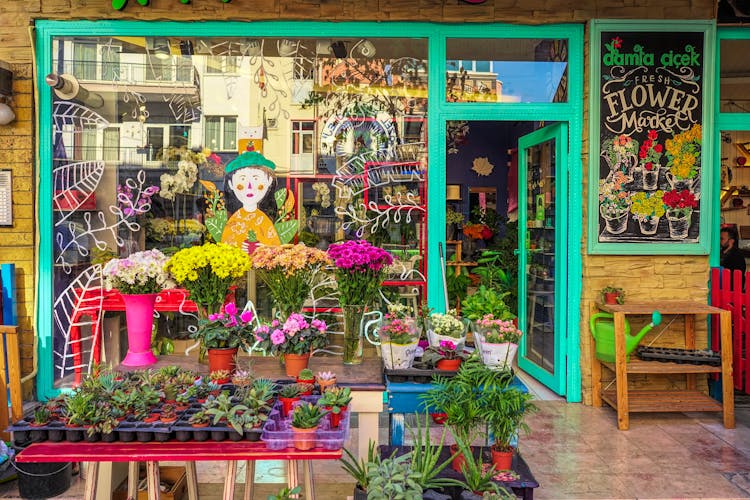 Colorful Flowers In A Flower Shop