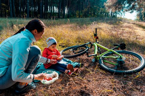 Free Mother and son having a picnic in the forest with a bicycle nearby, enjoying a sunny day outdoors. Stock Photo