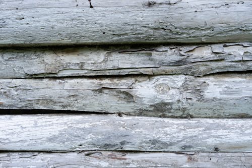 Close up of a Wooden Texture