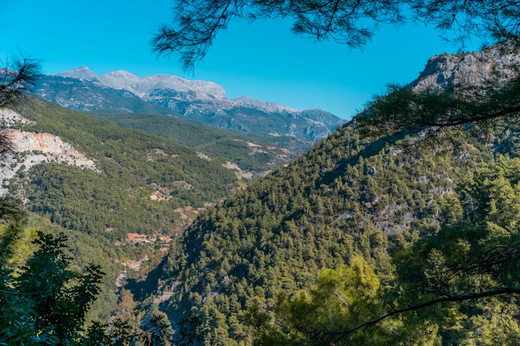 Summer Mountain Landscape