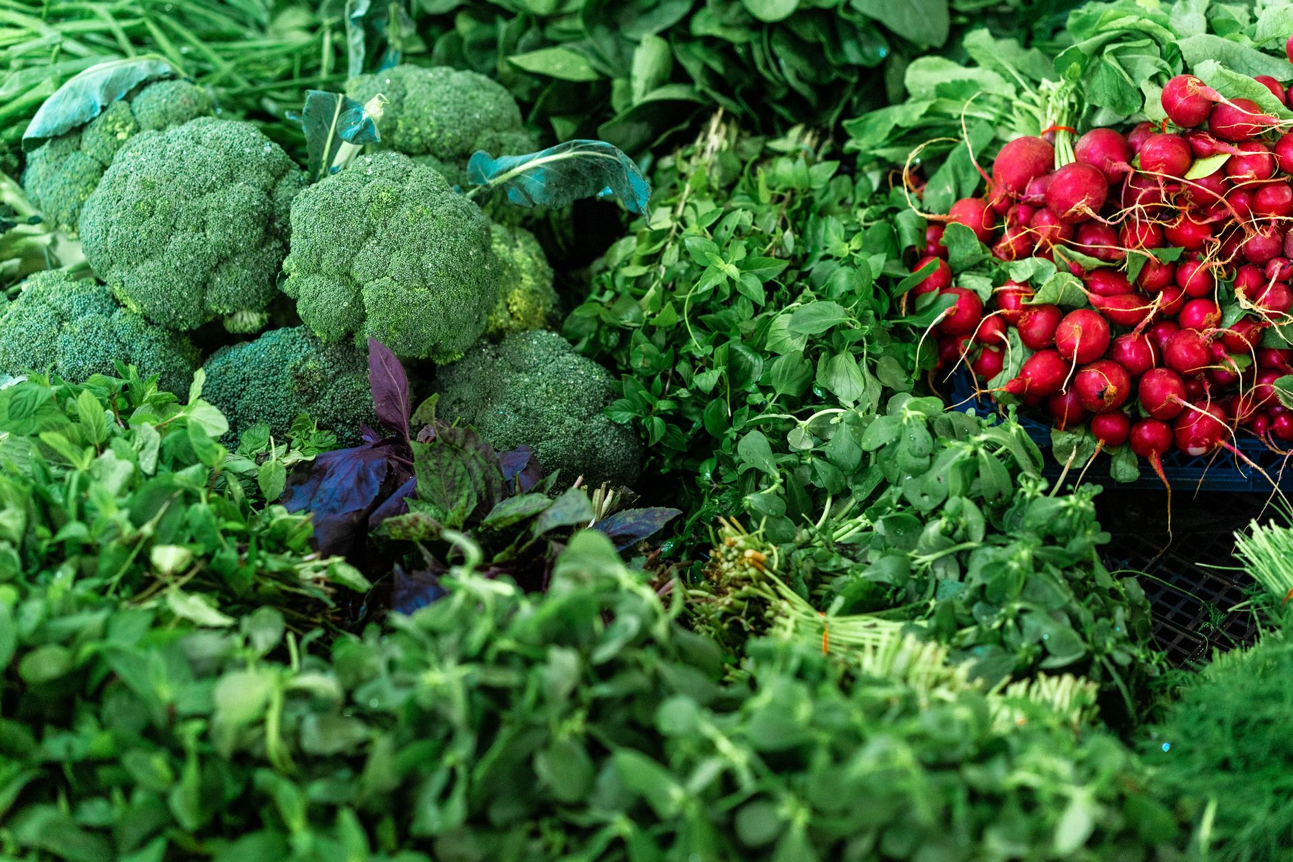 A vibrant assortment of fresh broccoli, radishes, and leafy greens at a market, ideal for healthy eating.