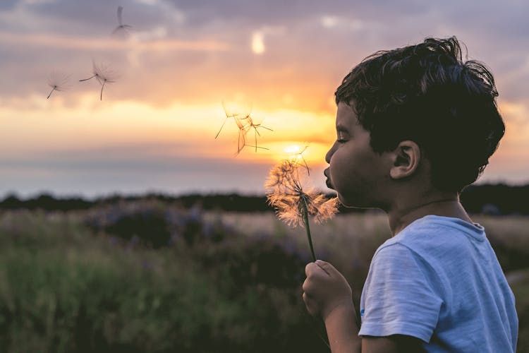 A Boy Blowing A Dandelion 