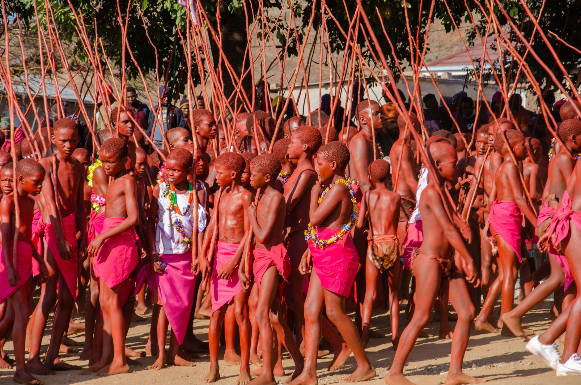 African boys in traditional attire participate in a vibrant cultural ceremony outdoors.
