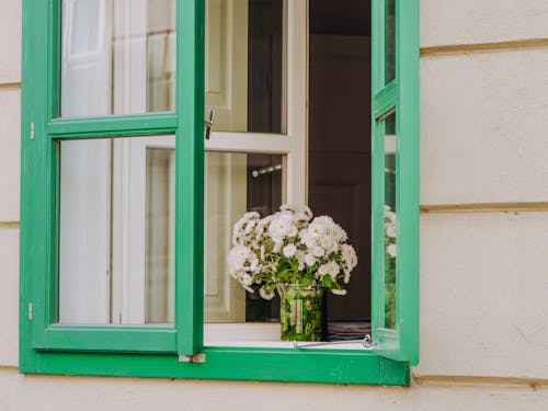 Безкоштовне стокове фото на тему «ваза, вікно, квіти»