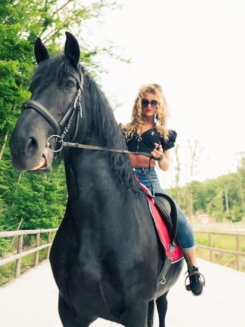 Free A stylish woman with sunglasses riding a majestic black horse along a scenic outdoor path. Stock Photo