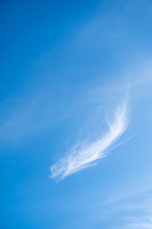 Free Capture the tranquility and simplicity of a clear blue sky dotted with a single, wispy white cloud. Stock Photo