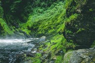 充满活力的绿色雨林中，瀑布飞泻，河水如雾