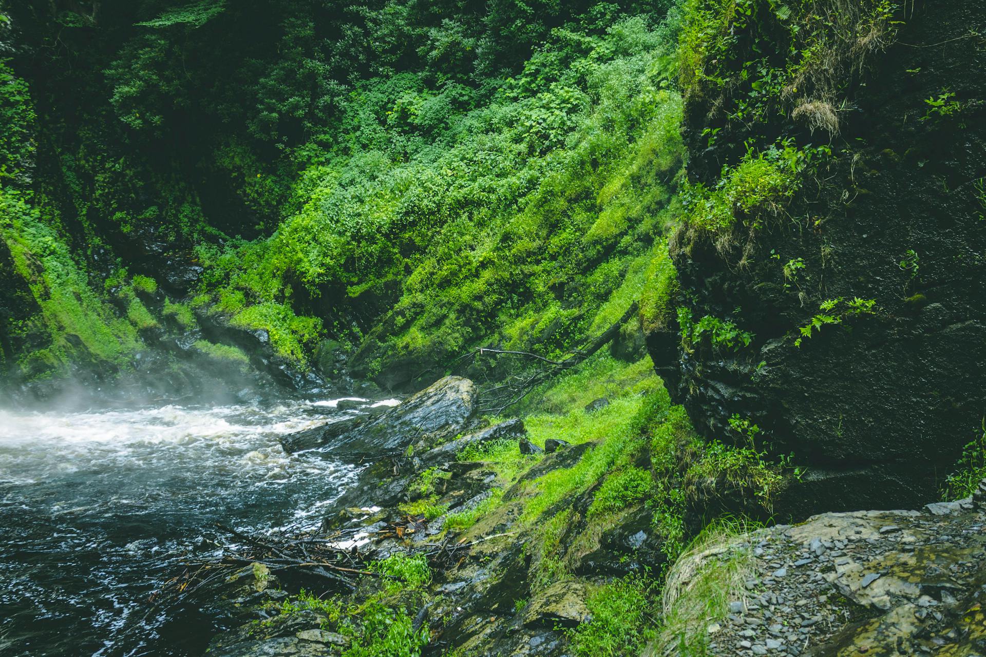 Vibrant green rainforest with cascading waterfall and misty river flow.