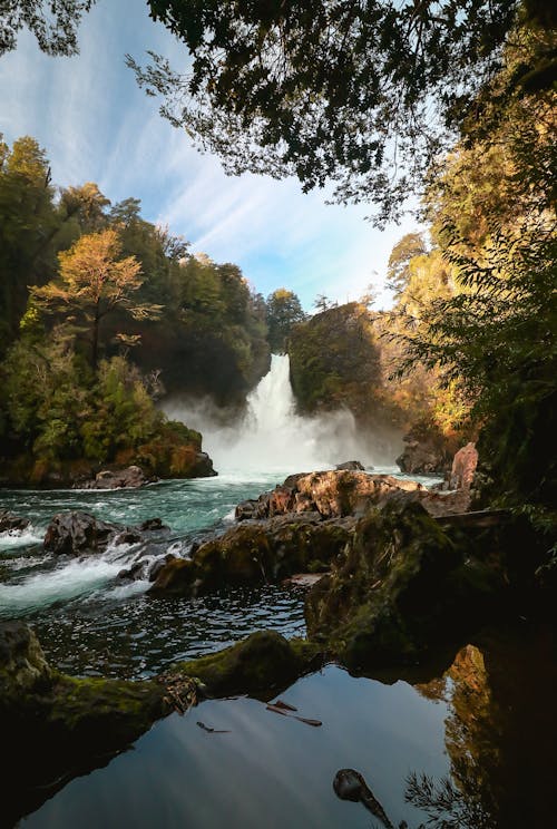 Waterfalls in the Middle of the Forest