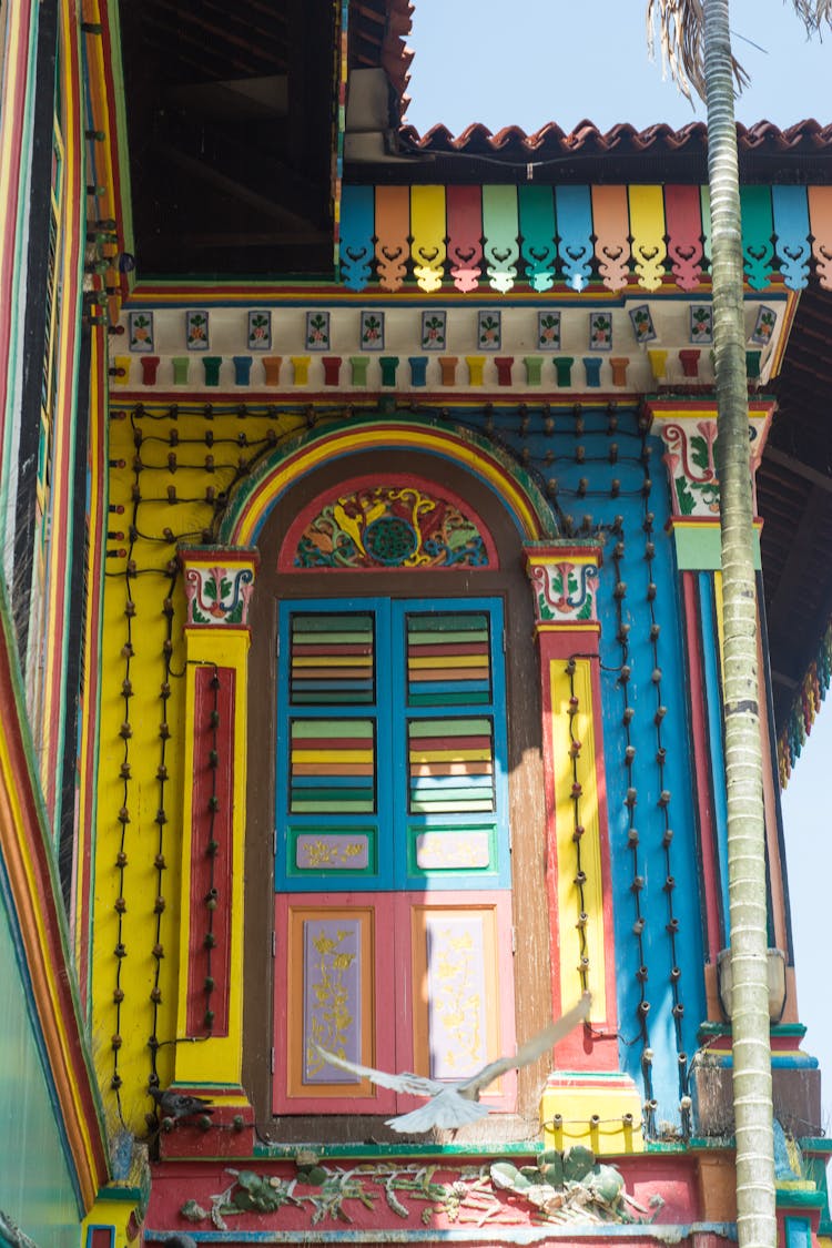 Bird Landing On Colorful House Entrance