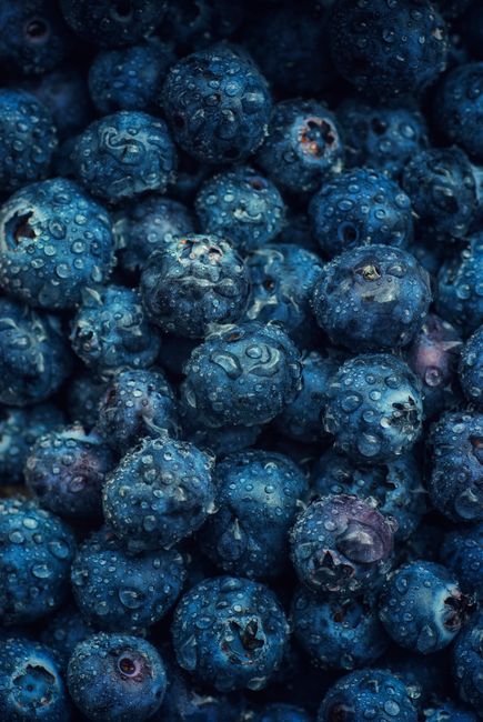 A detailed close-up of fresh, wet blueberries covered in water droplets. Perfect for food and nature themes.