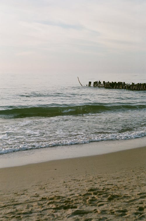 dalgakıran, dalgalar, deniz içeren Ücretsiz stok fotoğraf