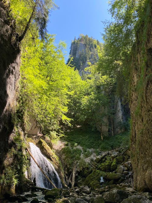 Free stock photo of beautiful, escape, hike