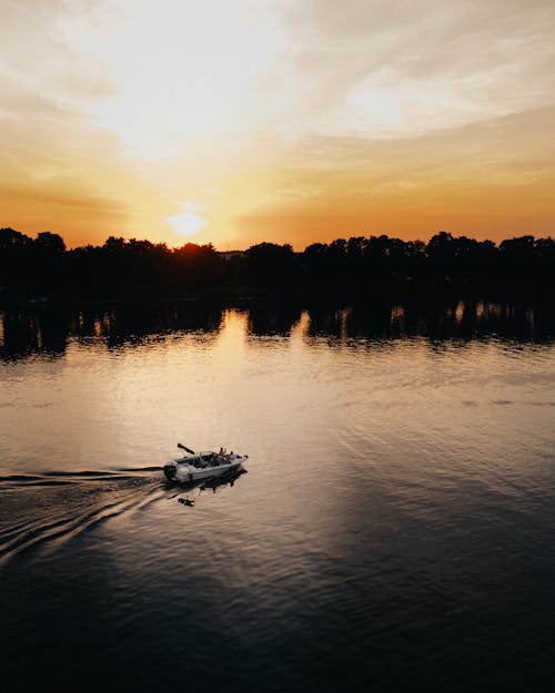 Silhouette of Trees Near Body of Water during Sunset