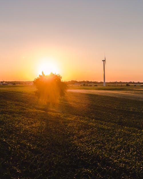 Free Sun Setting over the Field Stock Photo