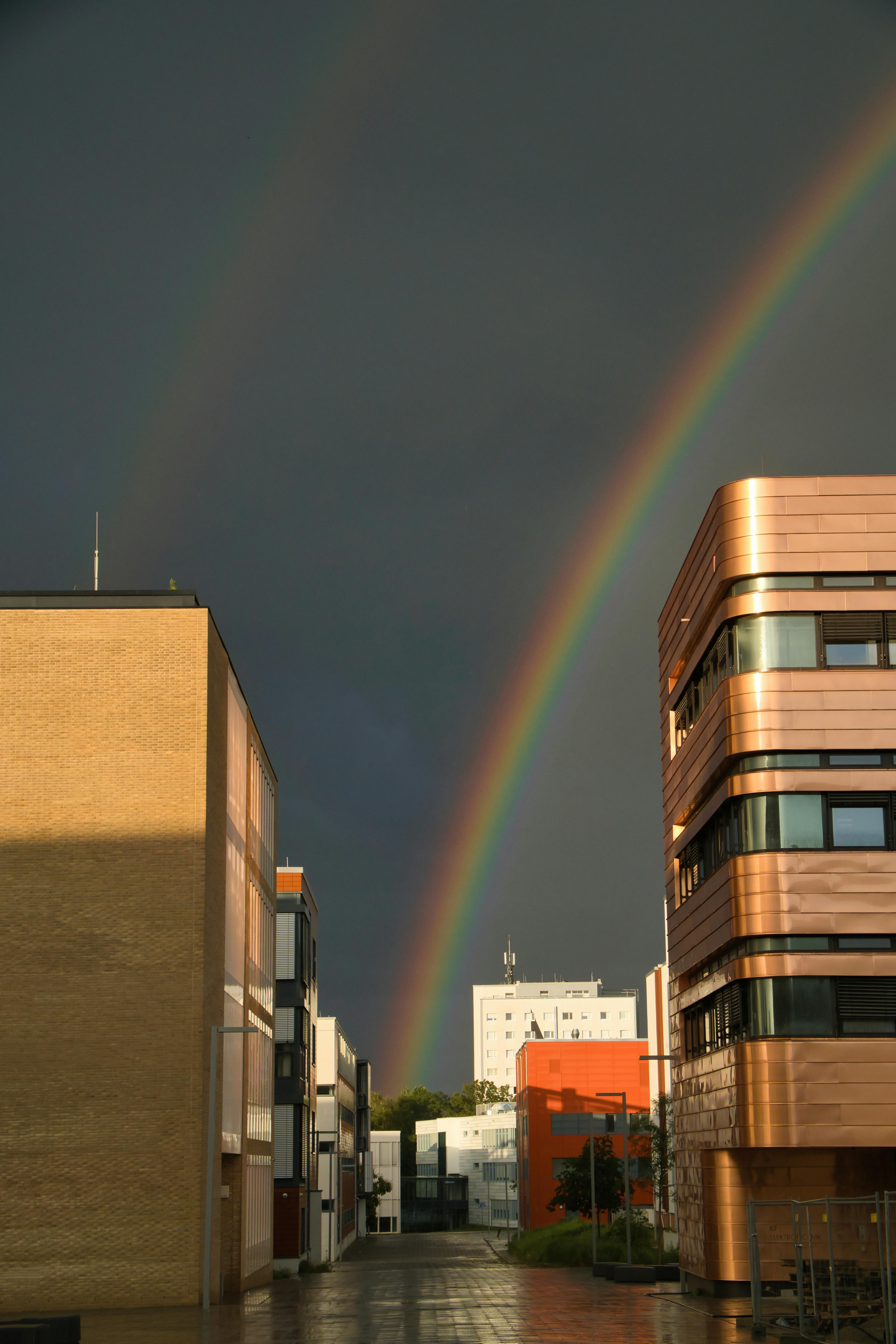 Vild Area Photos, Download Free Vild Area Stock Photos & HD Images