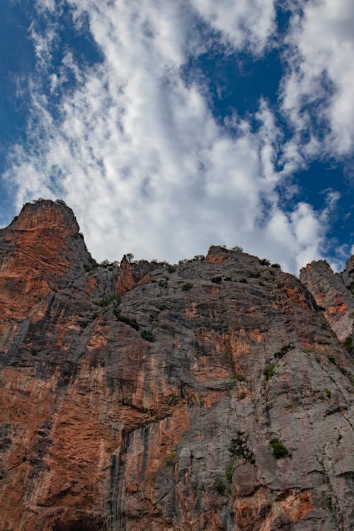 Imagine de stoc gratuită din cer înnorat, fotografie cu unghi mic, fotografiere verticală