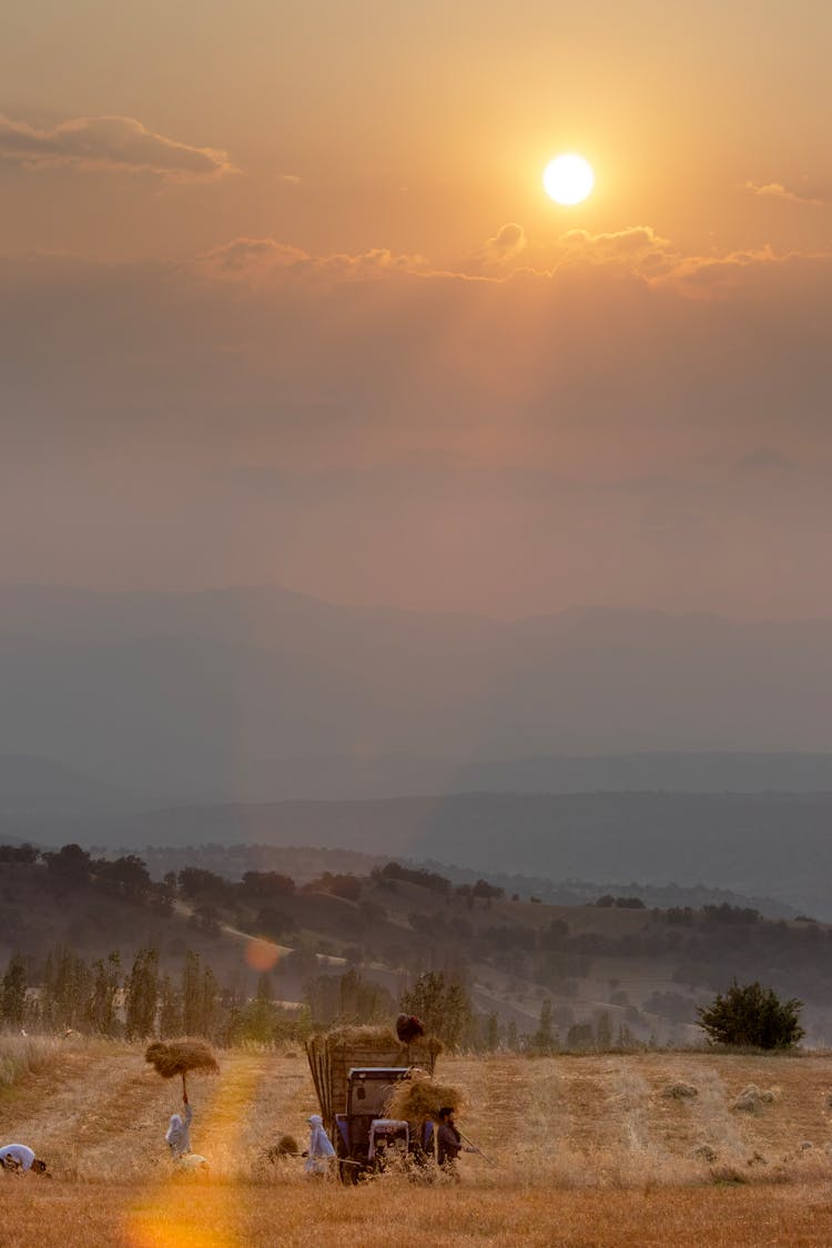 People Gathering Hay In Field At Sunrise