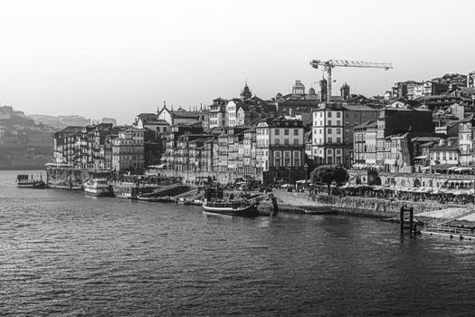 Francesinha and tripe food tour — Porto