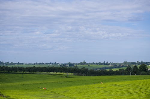 Gratis stockfoto met bewolkte lucht, boerderij, boeren