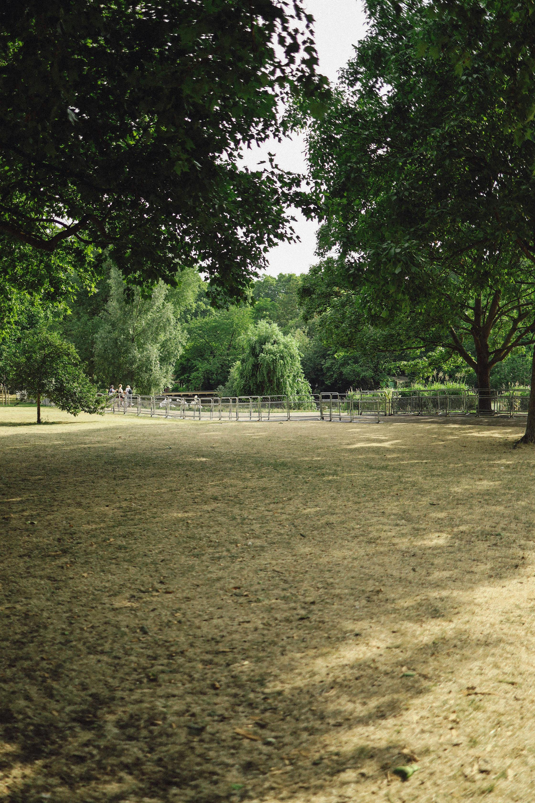 Serene park scene with lush greenery and sunny pathways, perfect for leisure strolls.