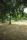 park background