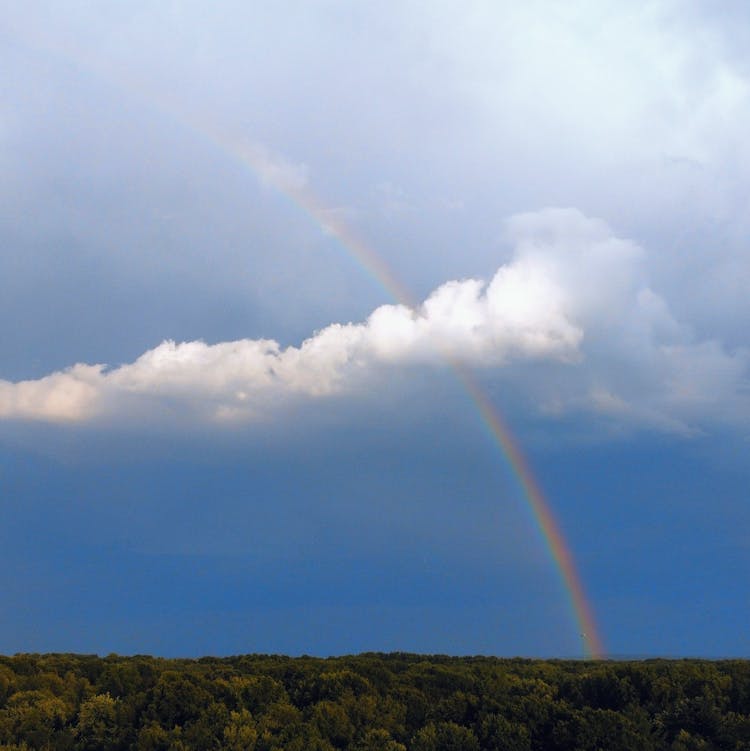 Rainbow In The Sky