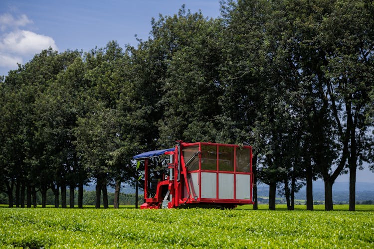 Working Red Harvester On The Field