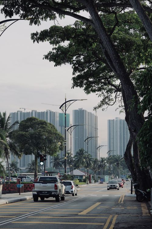 Free Urban scene capturing skyscrapers, trees, and traffic on a bustling city street. Stock Photo