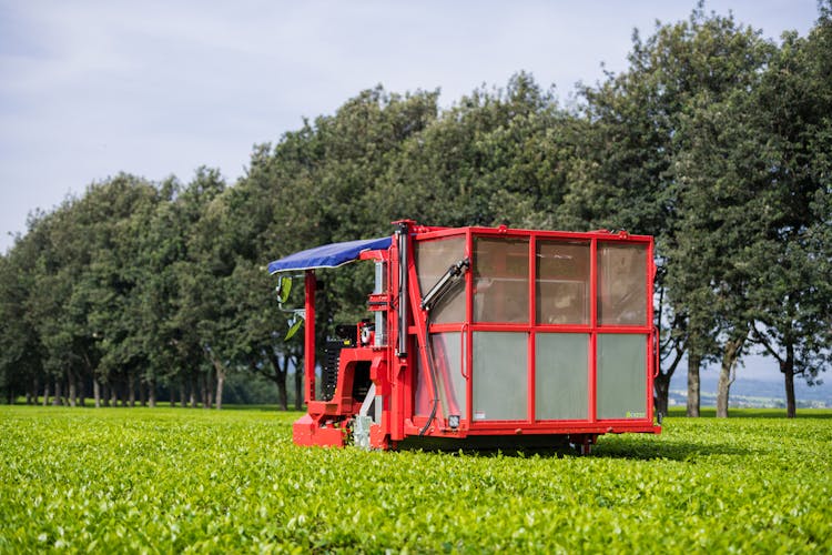 Red Harvester Working On The Field