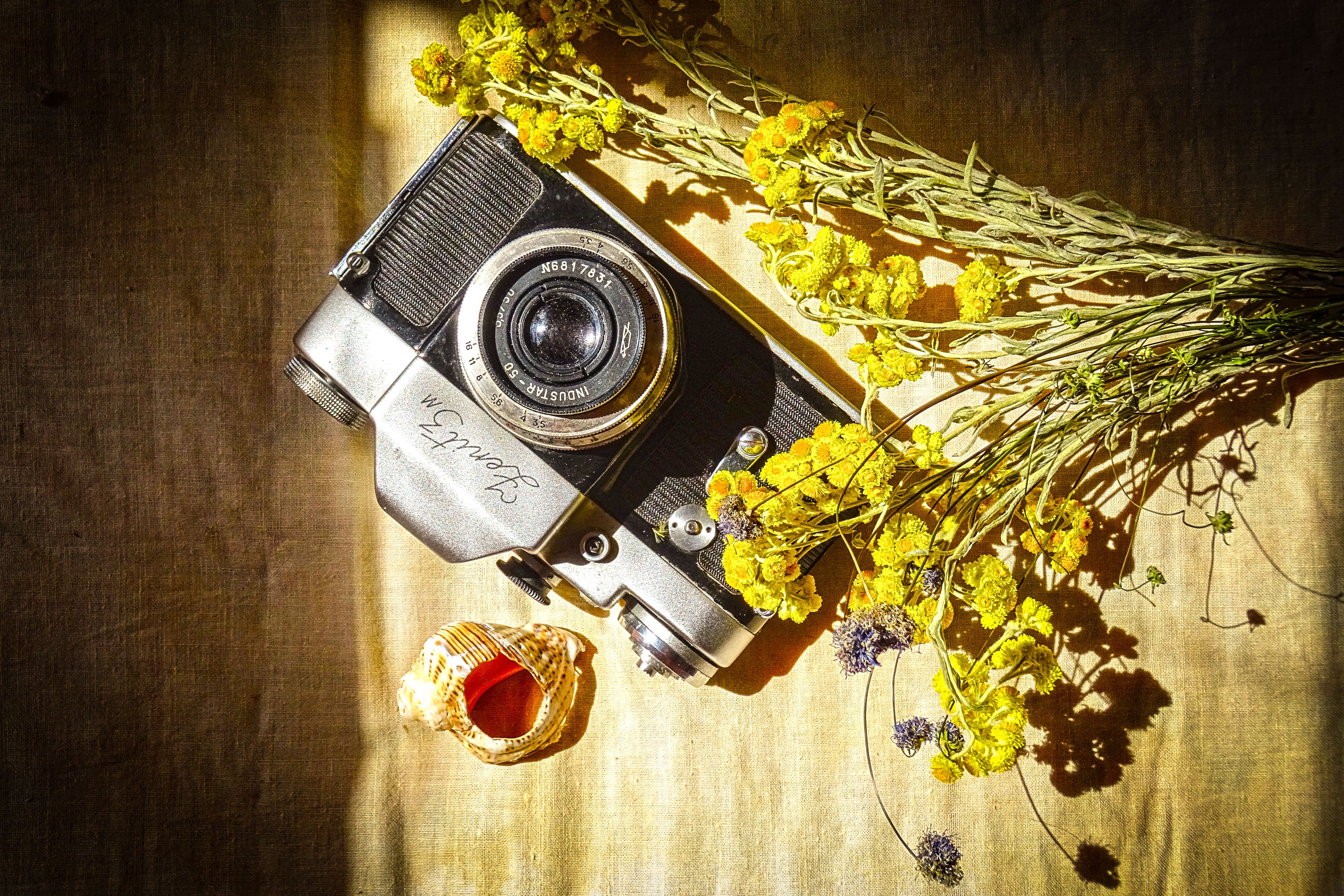 A vintage camera alongside vibrant yellow flowers and a seashell on a wooden surface.